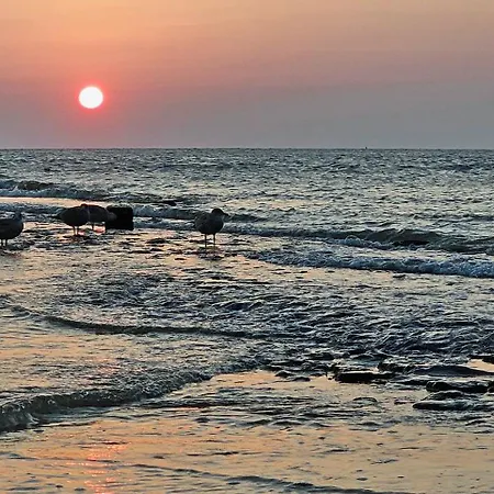 公寓 Zanddijk 113, Aan Zee 朱丽安娜多普