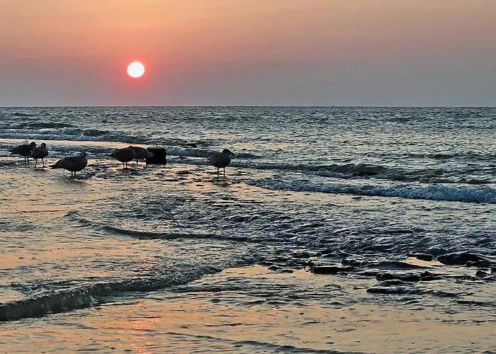 아파트 Zanddijk 113, Aan Zee 줄리아나도르프